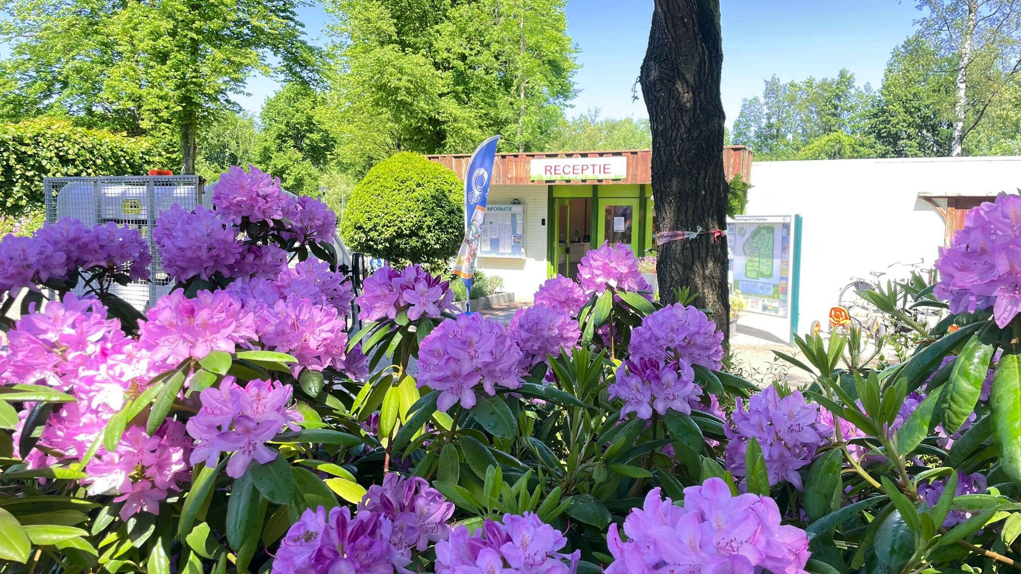 Vakantiepark 't Urkerbos