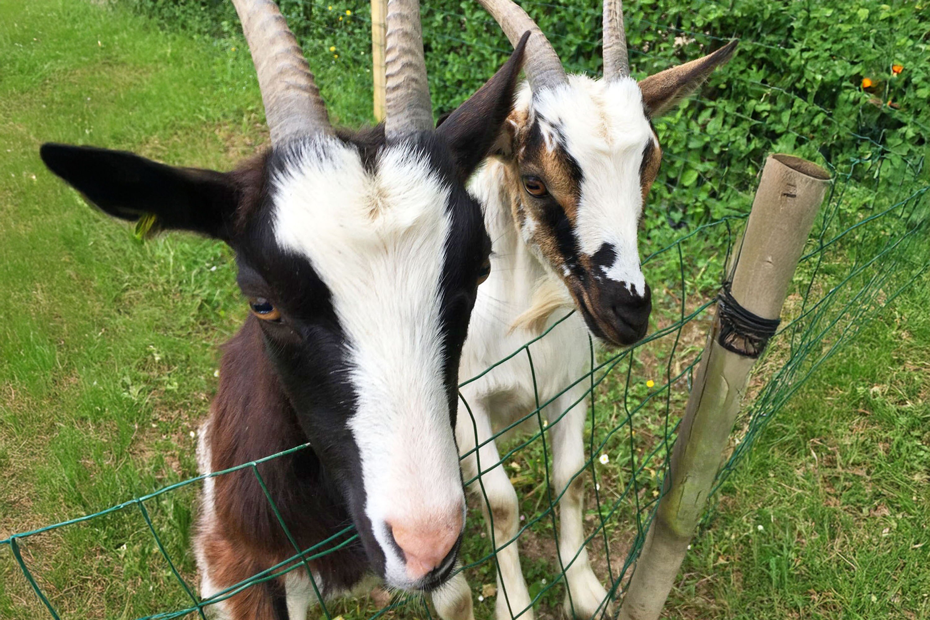 Camping Les Rives de Vilaine