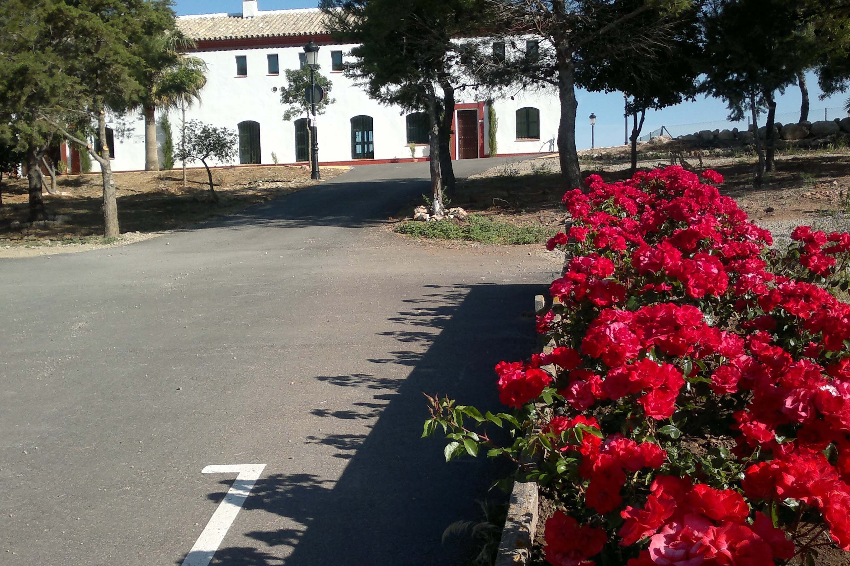 Camping Pueblo Blanco