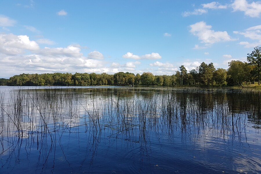 Camping Den Sovande Älgen