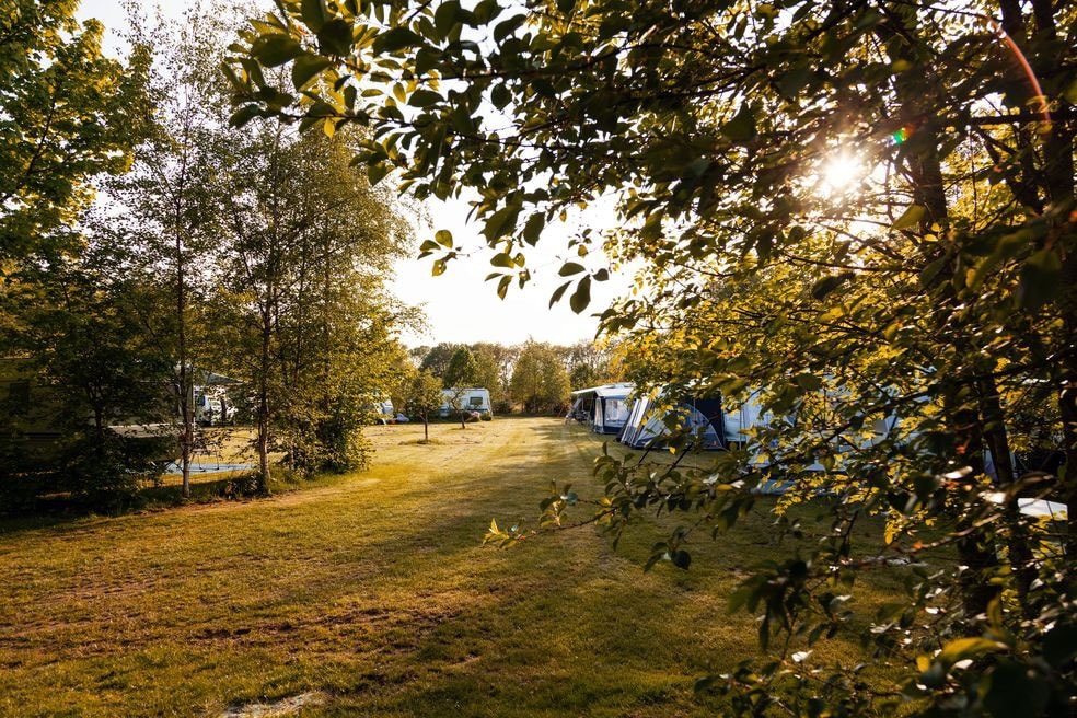 Camping Tikvah