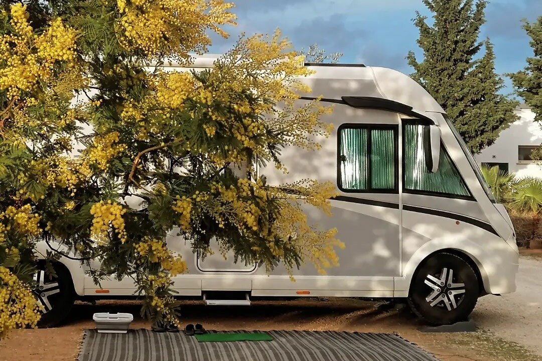 Camping Lilybeo Village