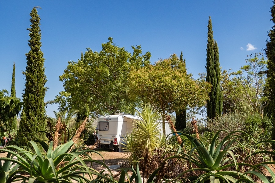 Camping Paradis L'Orangeraie