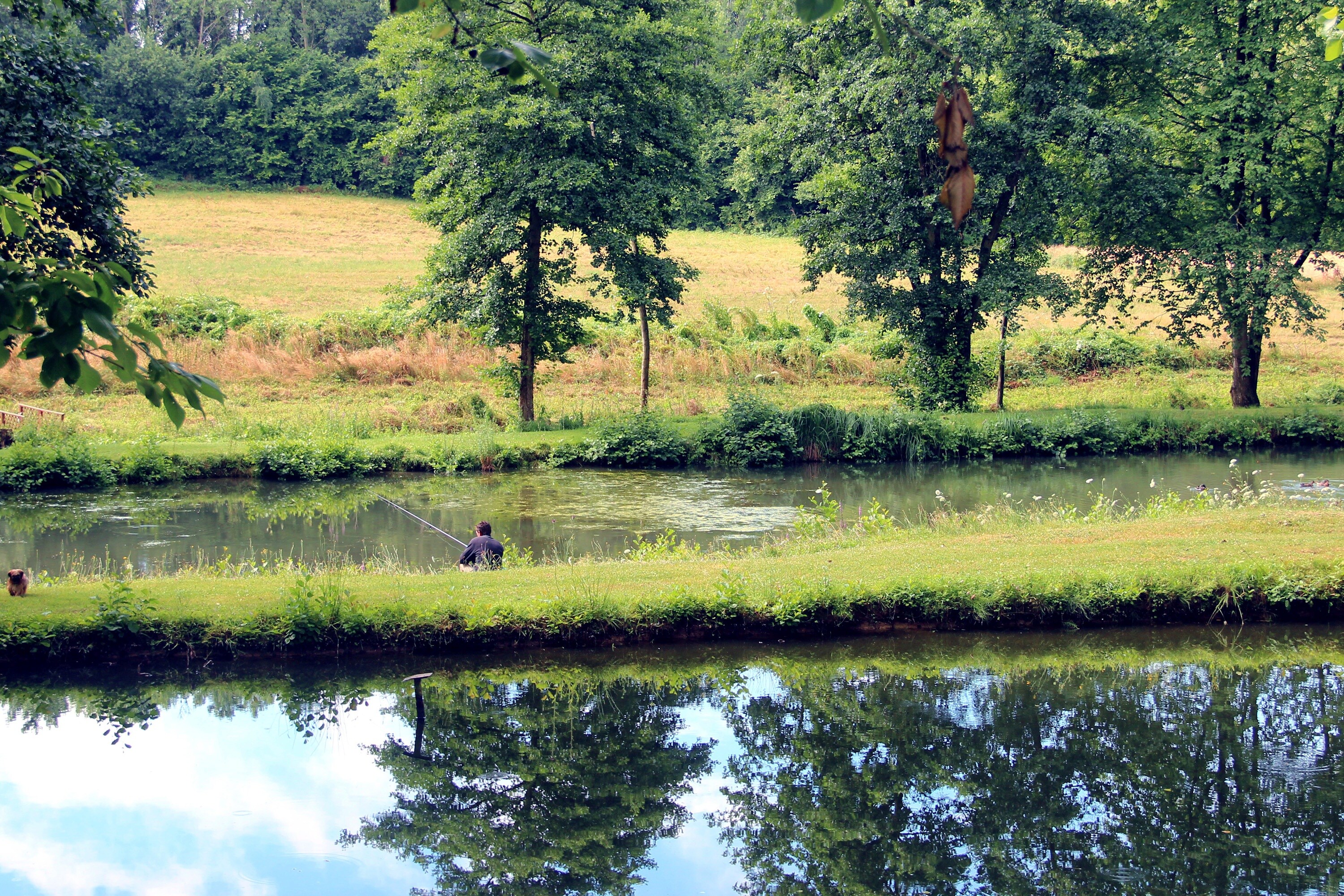 Camping Les Etangs du Moulin