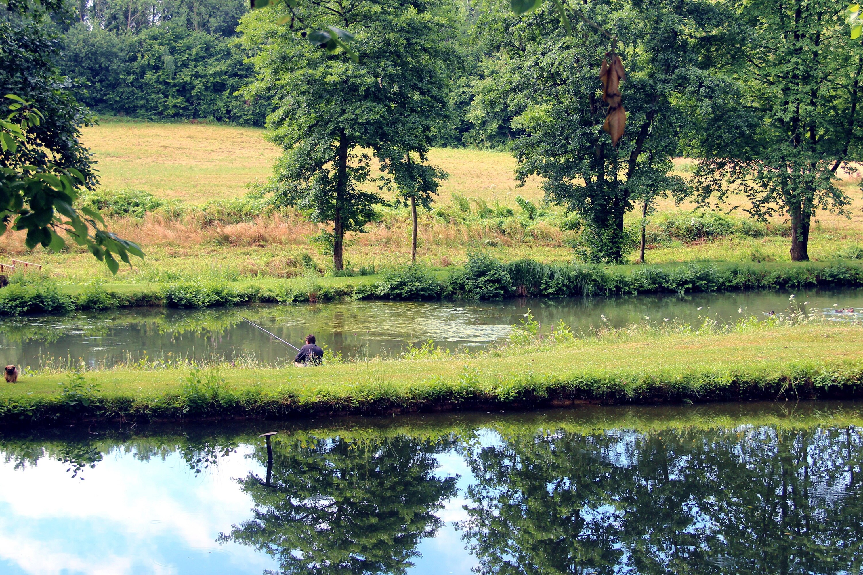 Camping Les Etangs du Moulin