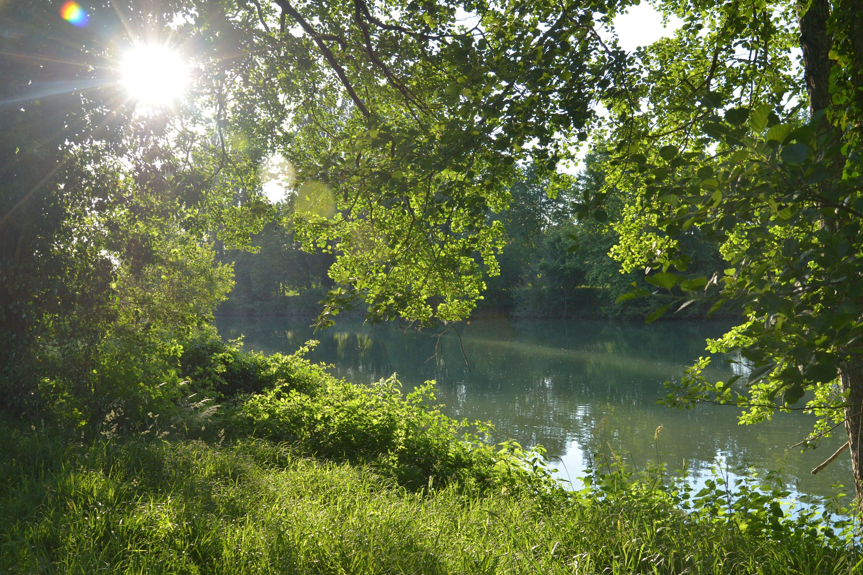 Camping Paradis Les Rives de l'Adour