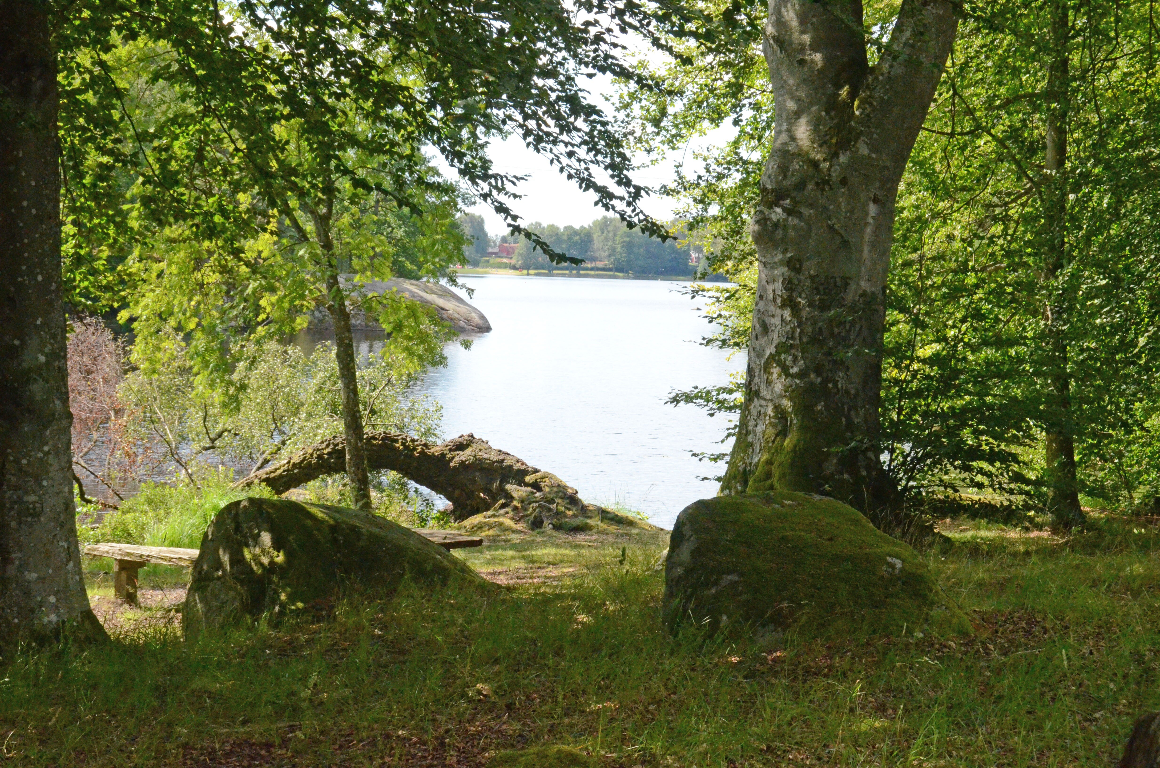 Långasjönäs Camping & Stugby