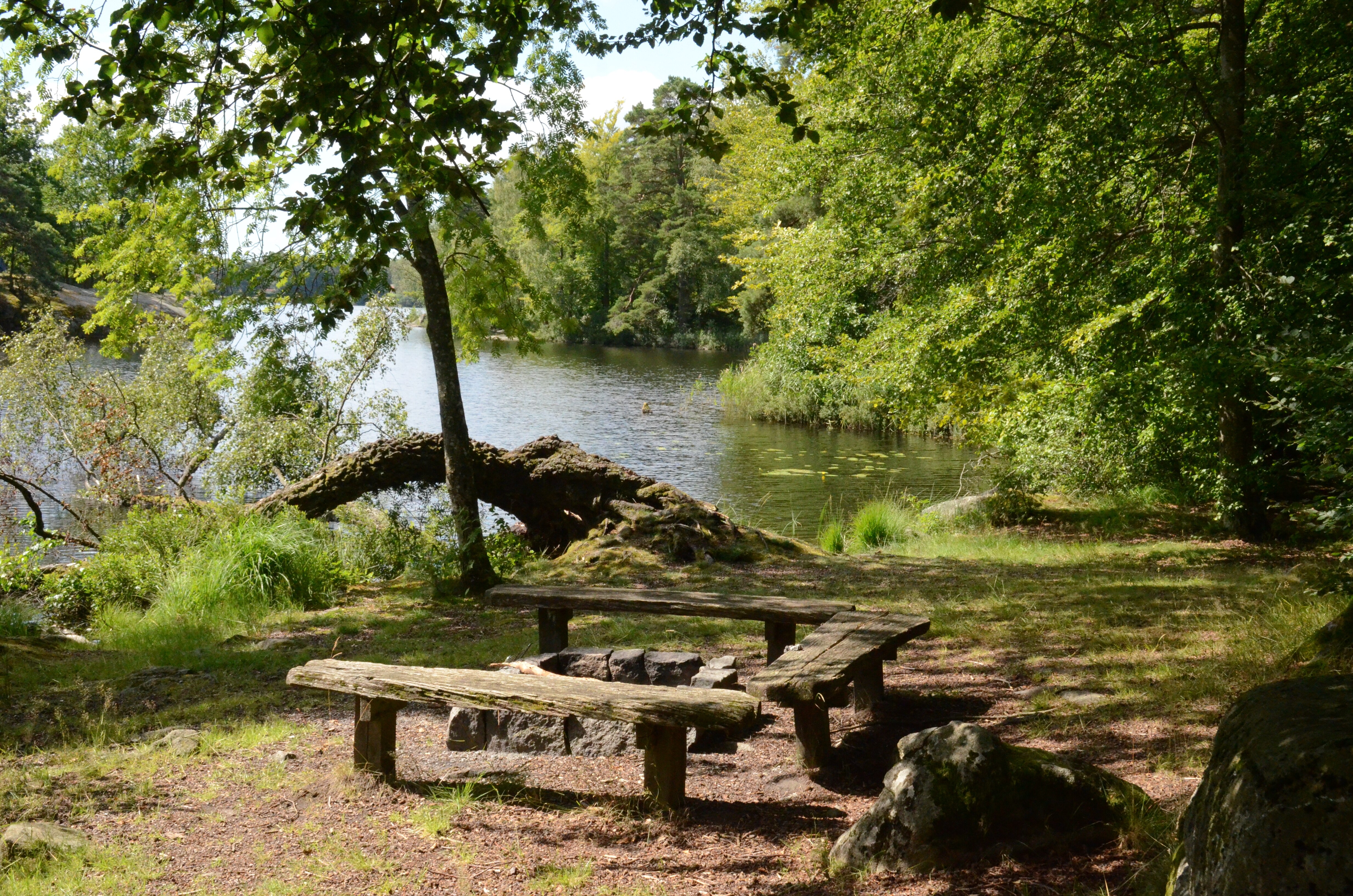 Långasjönäs Camping & Stugby