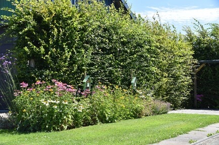 Camping het Stammeland