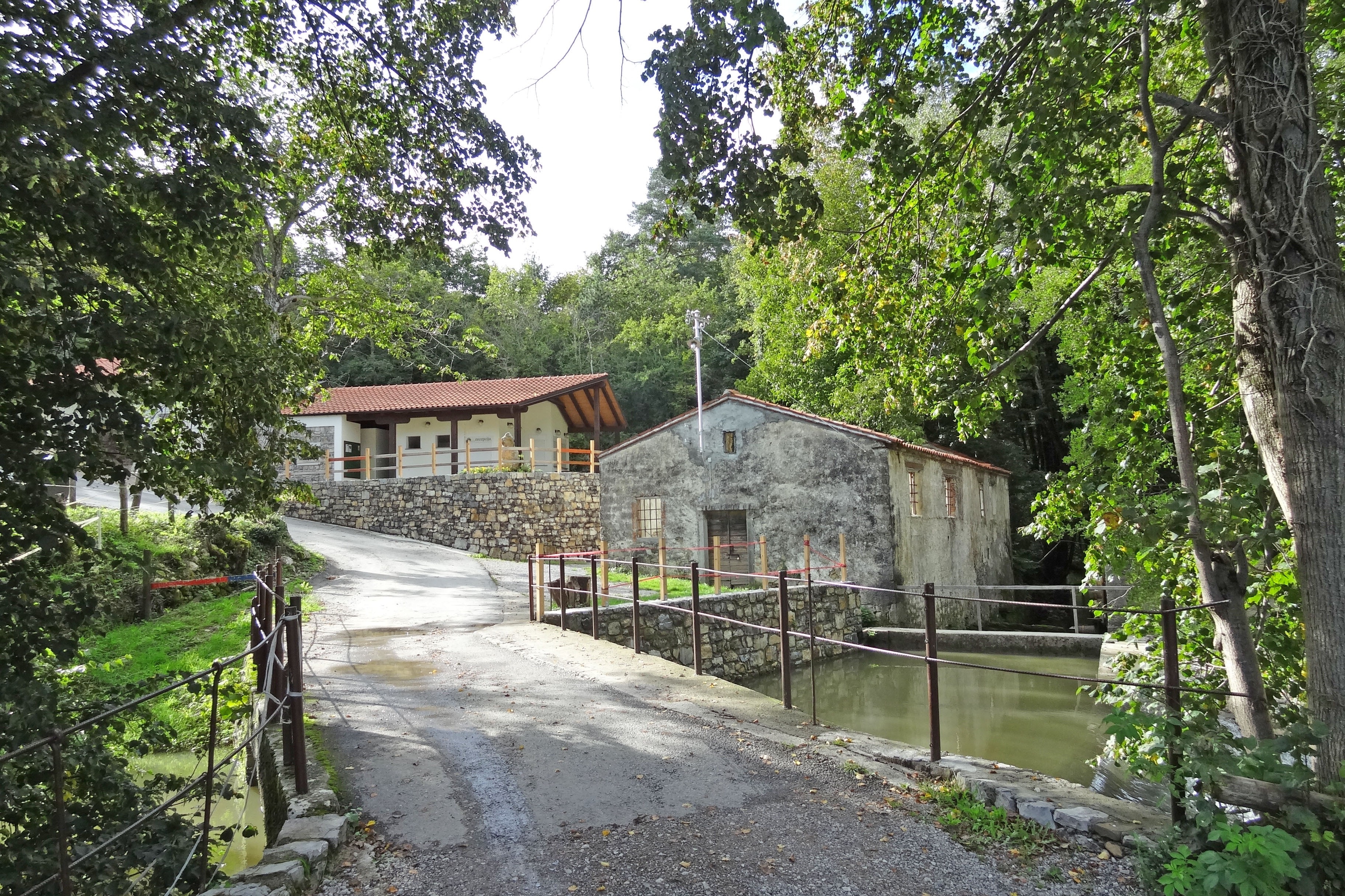 Kamp Dujceva Domacija