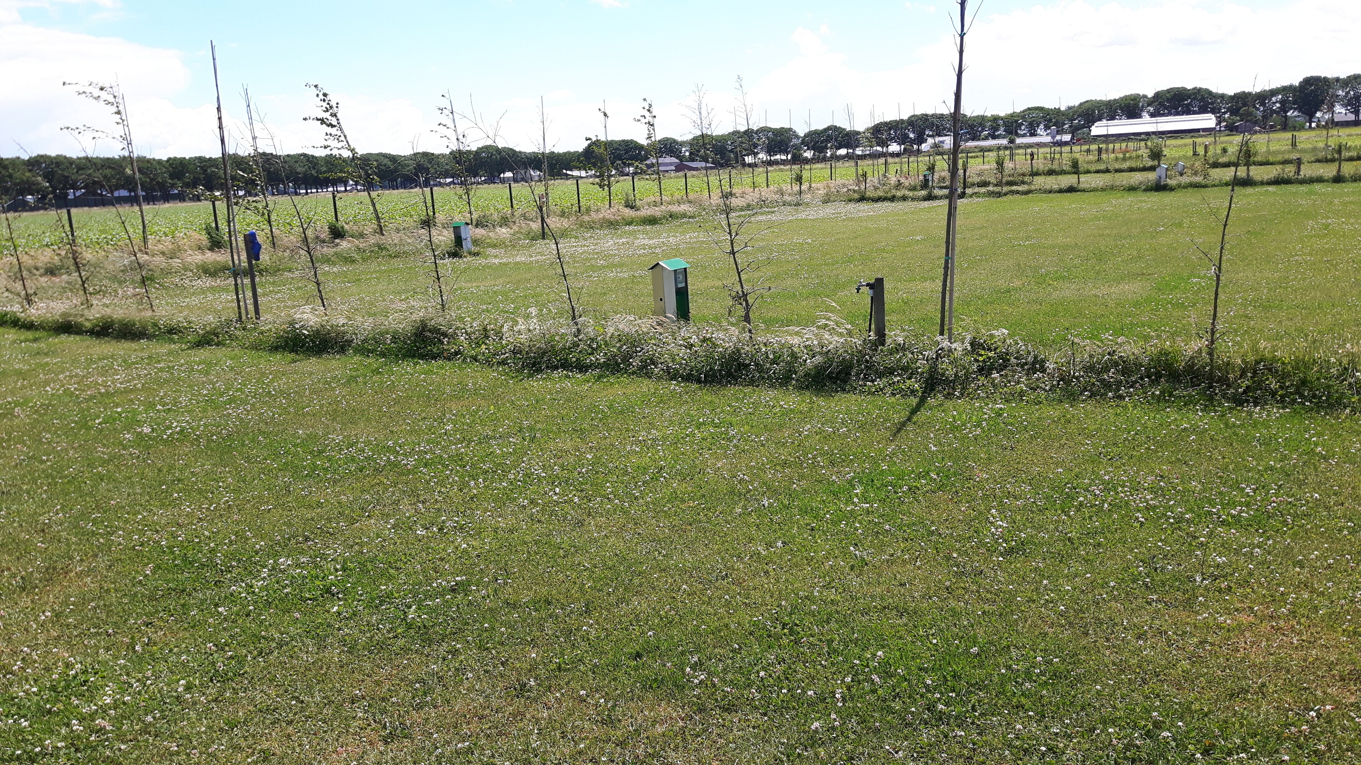 Camping De Somerweij