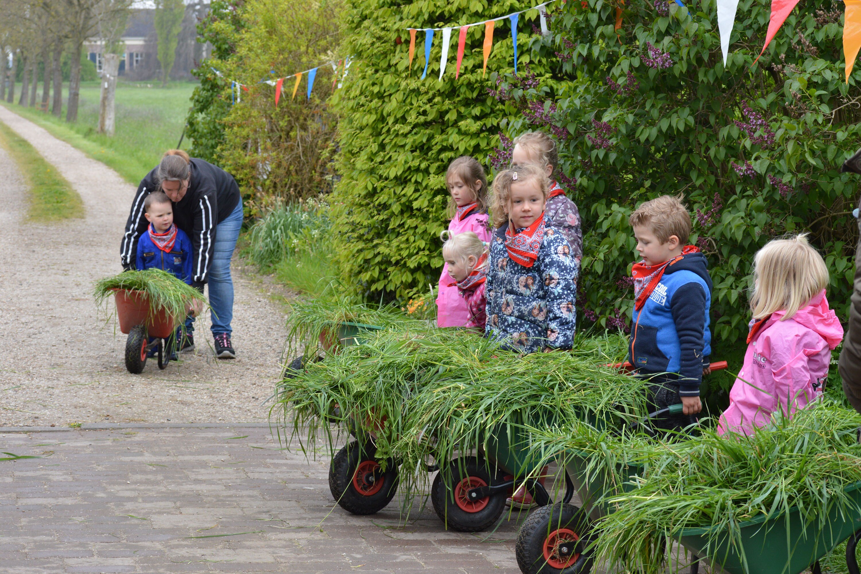 Recreatie- & Hertenboerderij De Weerd
