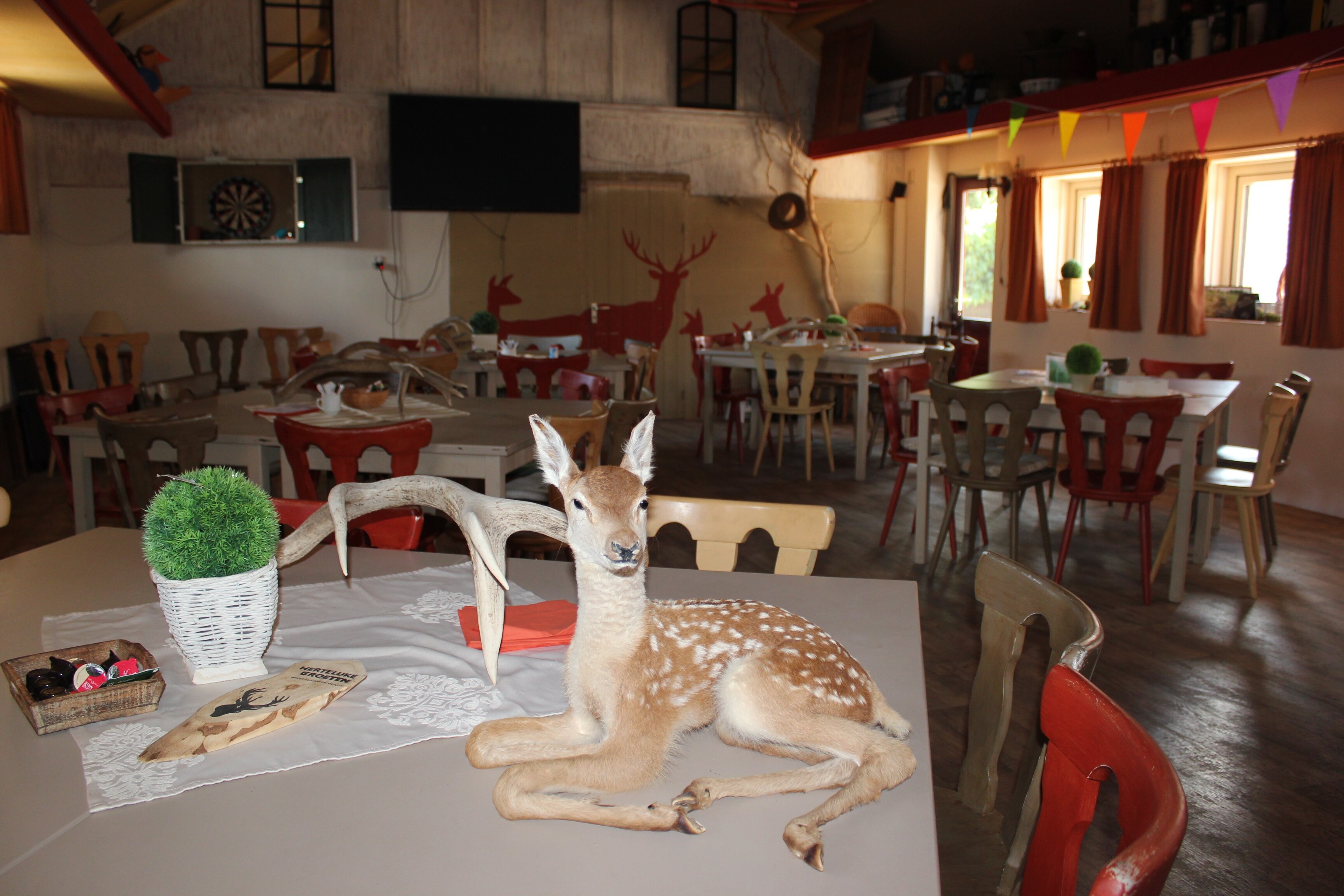 Recreatie- & Hertenboerderij De Weerd