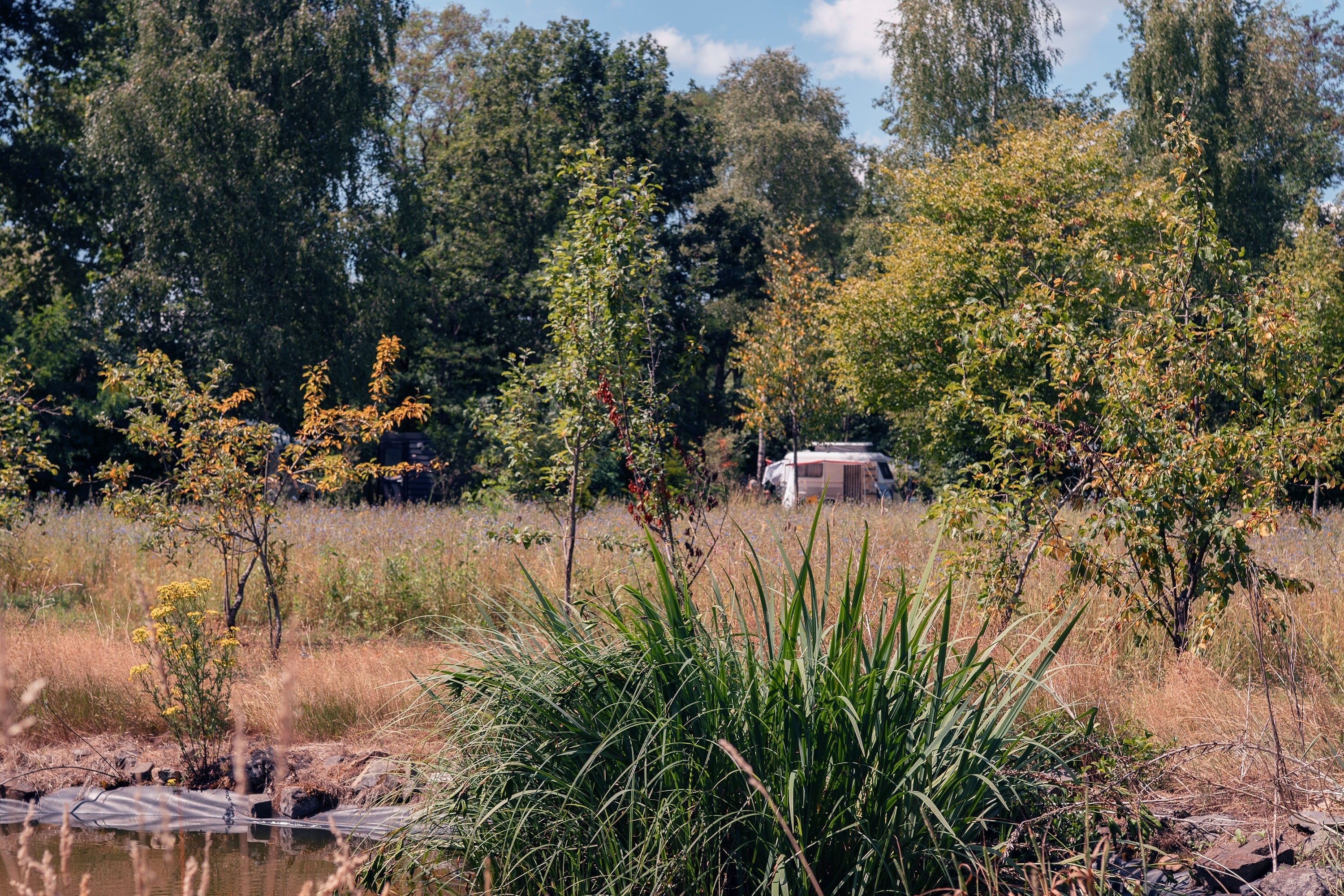 De Negende Zaeligheyt