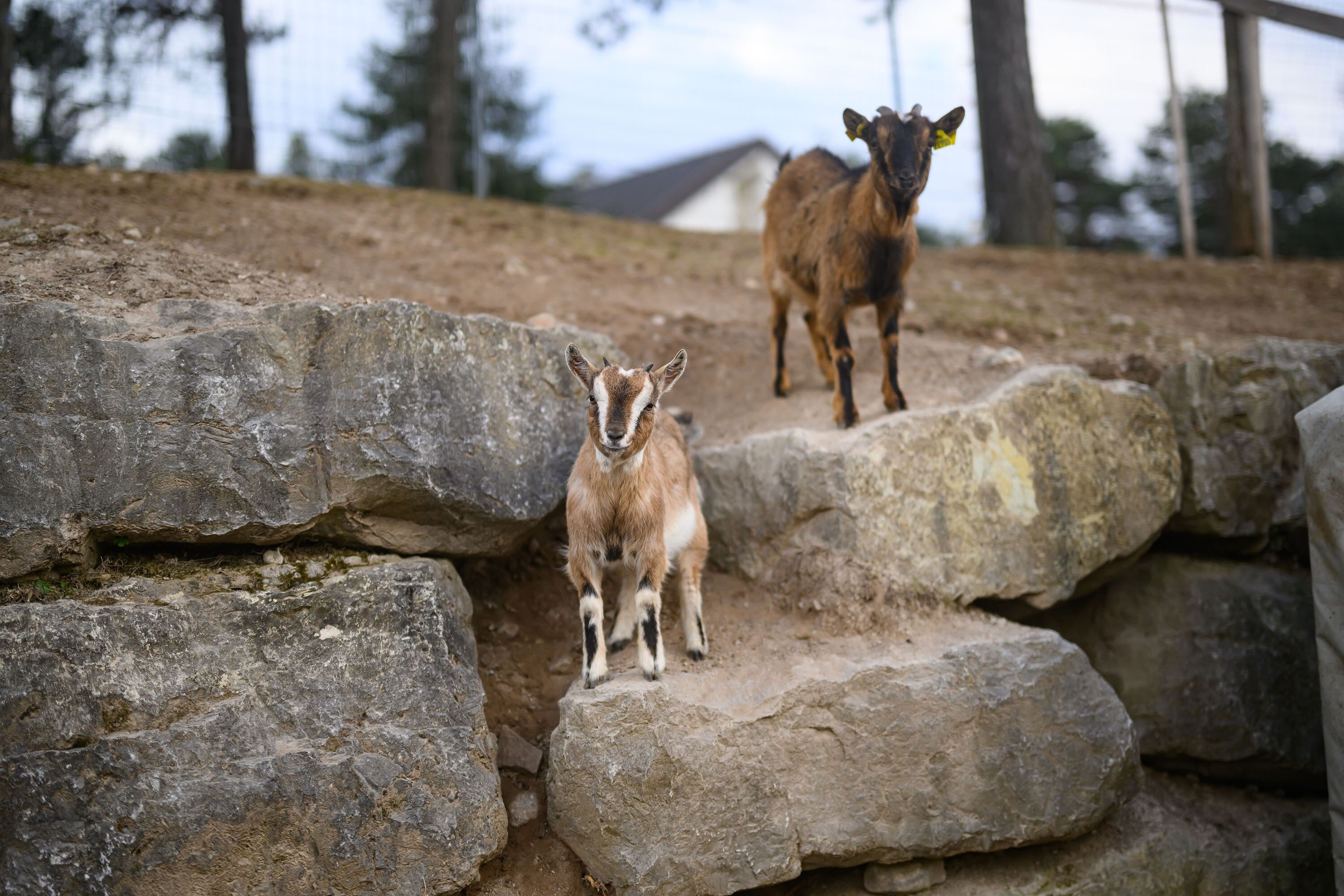 Agricampeggio Terrazza Paganella