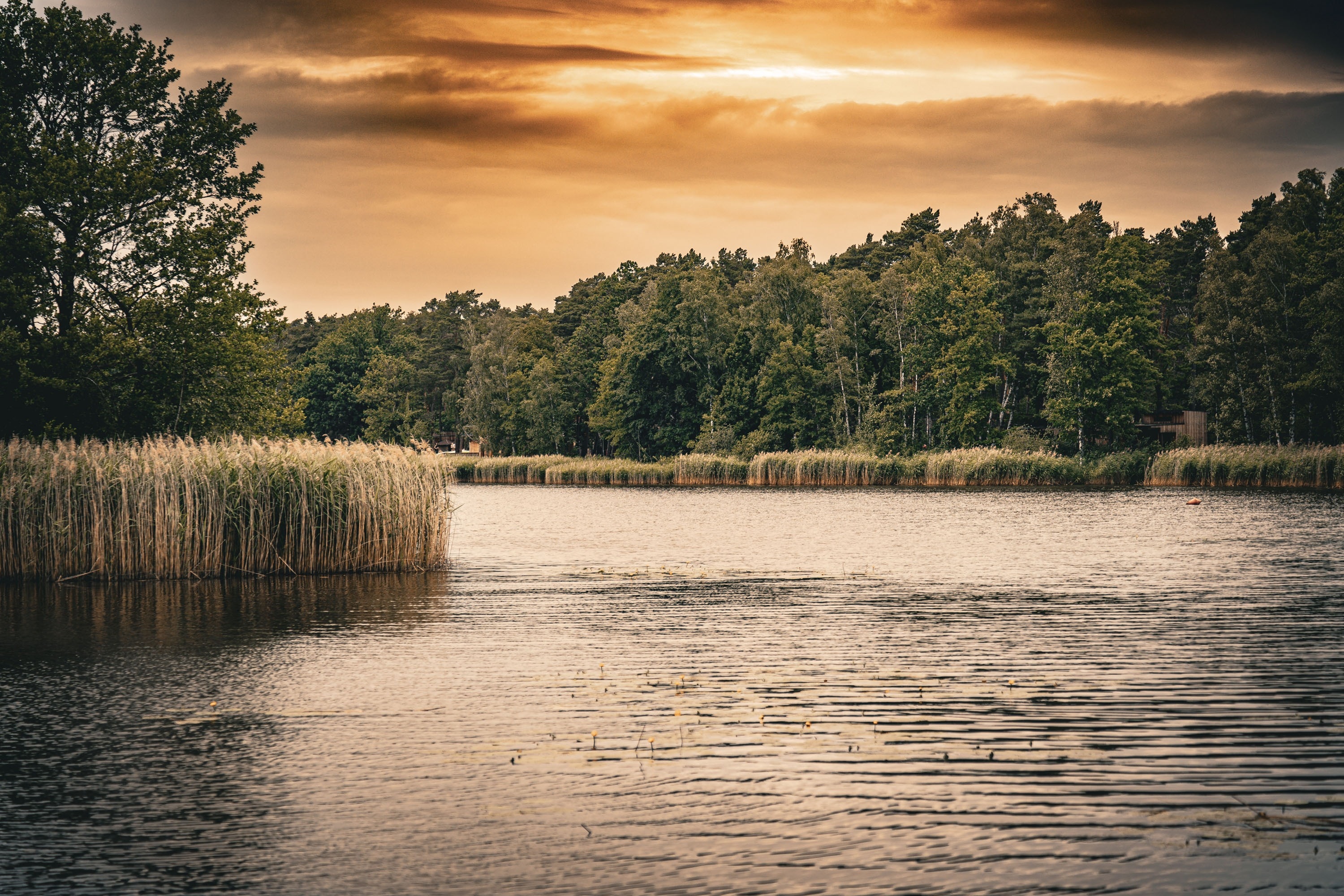 Naturcamping Brettmühlenteich