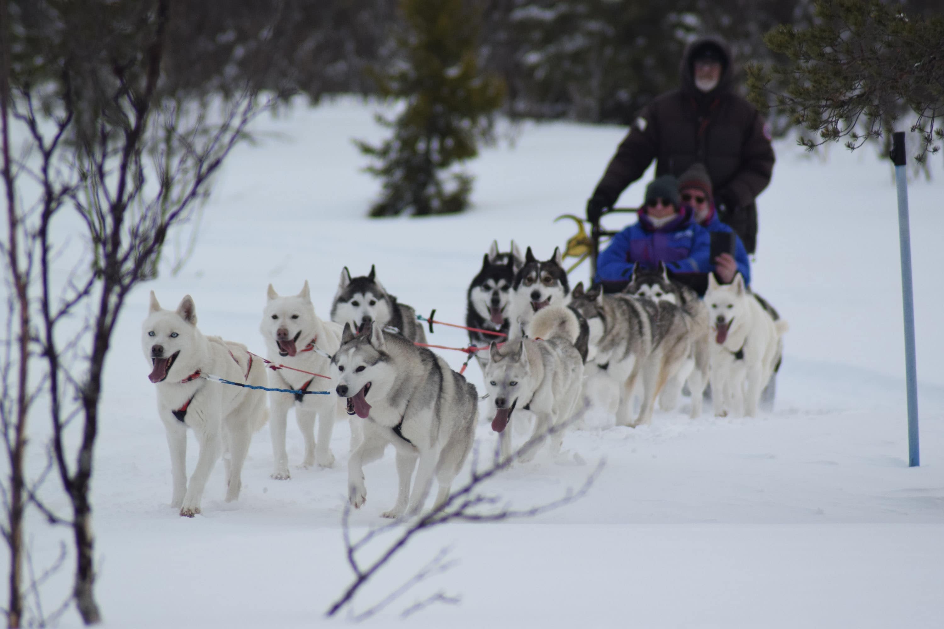 Camping Nederhögen Vildmarkscenter