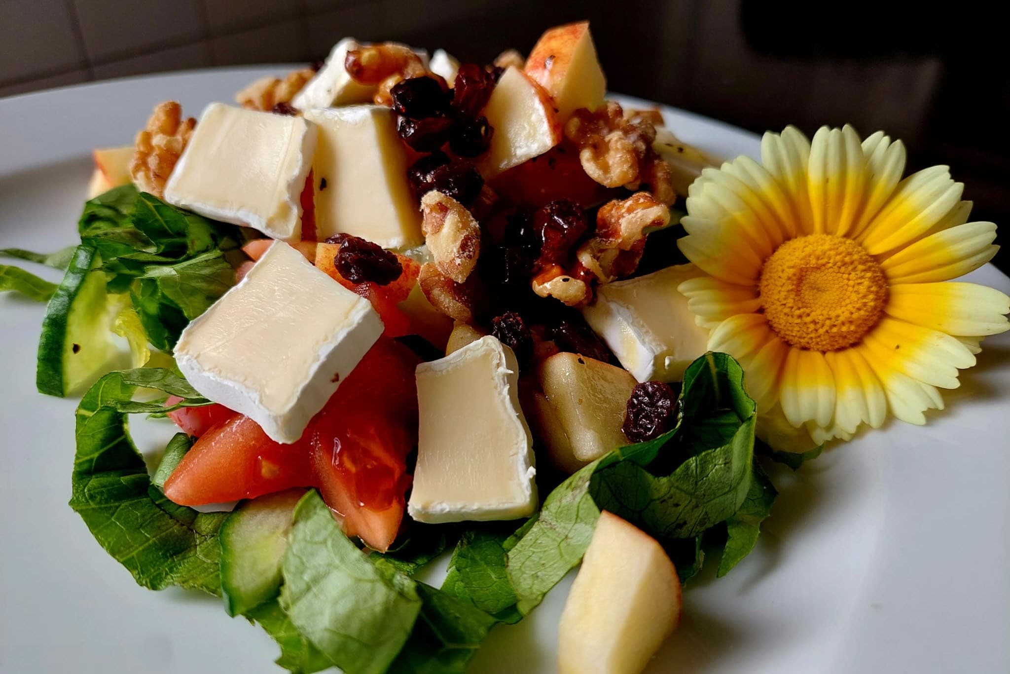 Camping Nederhögen Vildmarkscenter