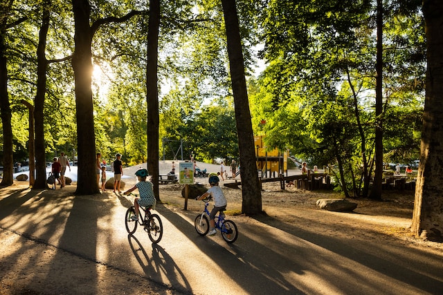RCN het Grote Bos
