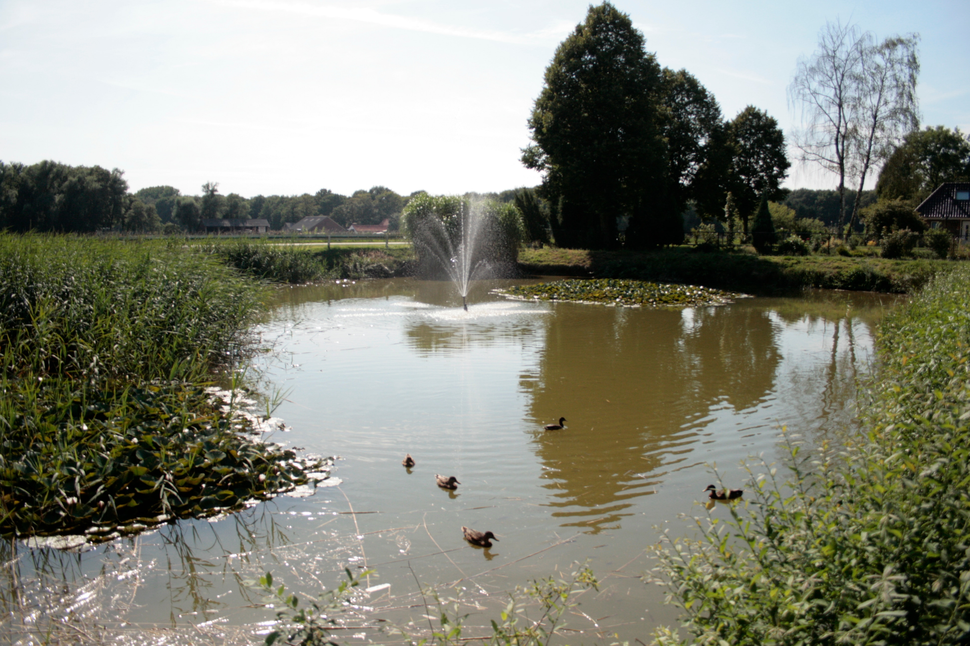 Vakantiepark De Byvanck BV