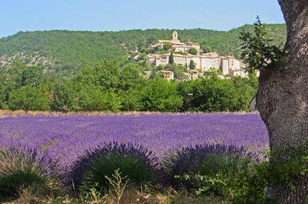 Flower Camping L'Epi Bleu