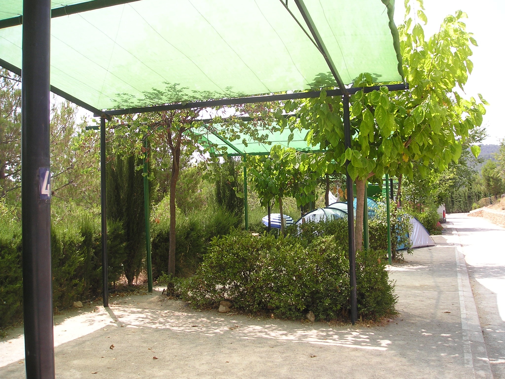 Camping Sierra Espuña