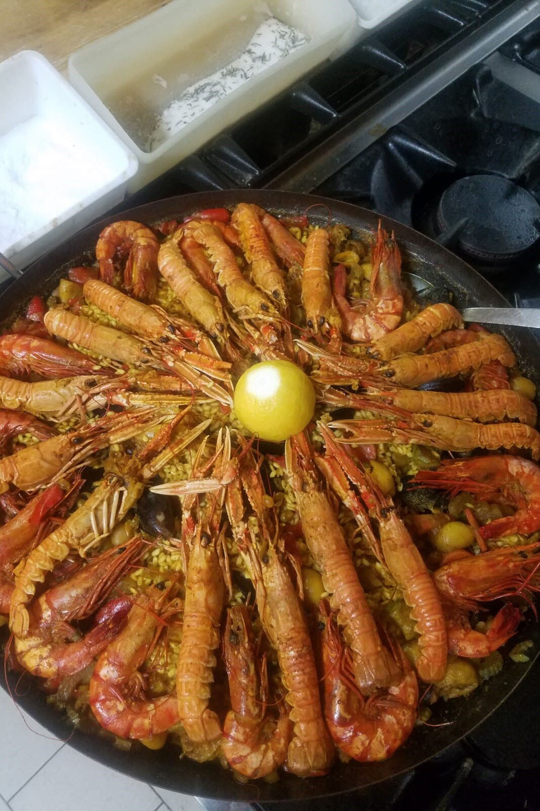 Camping Ecochiocciola