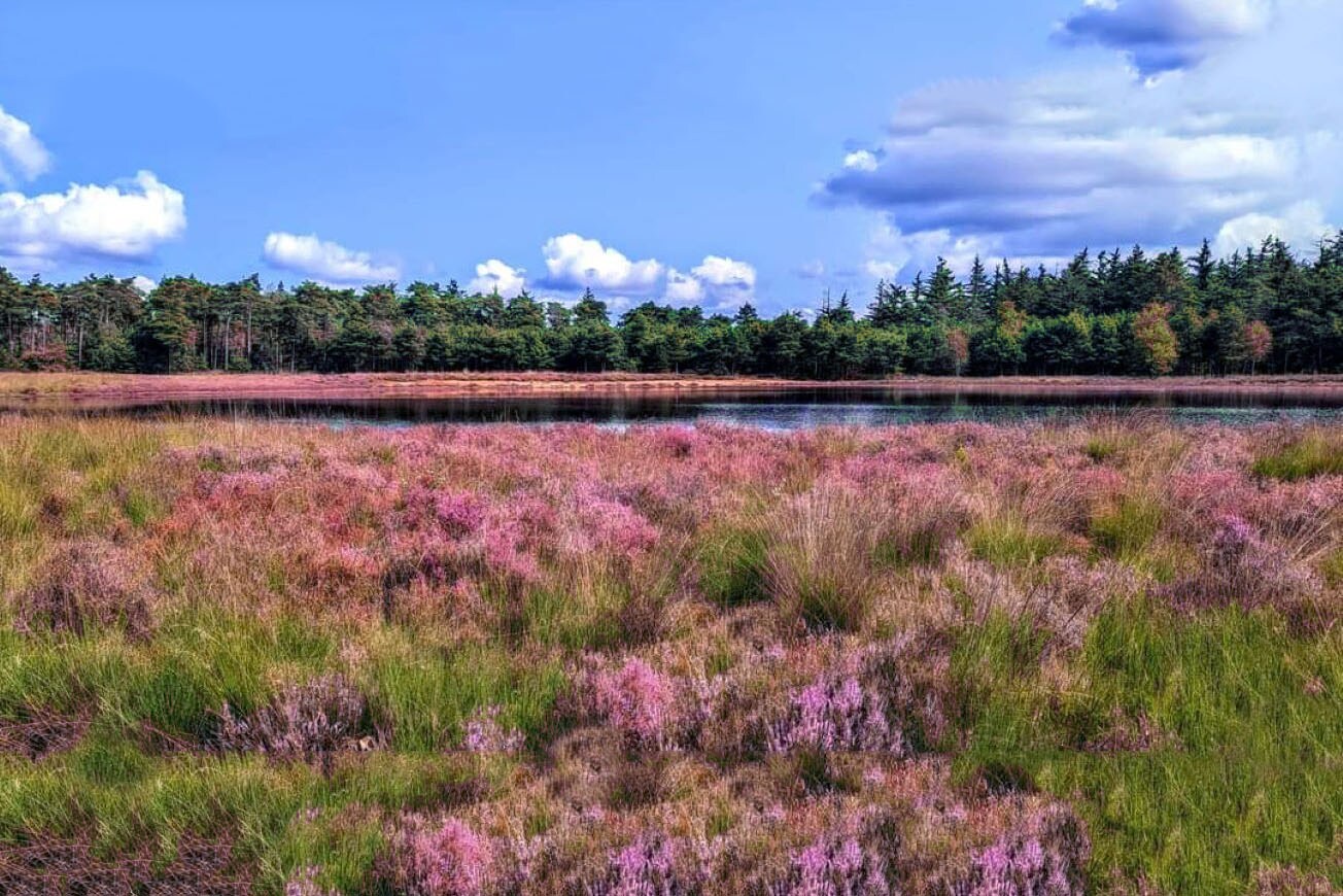 Minicamping Heksenheuvel