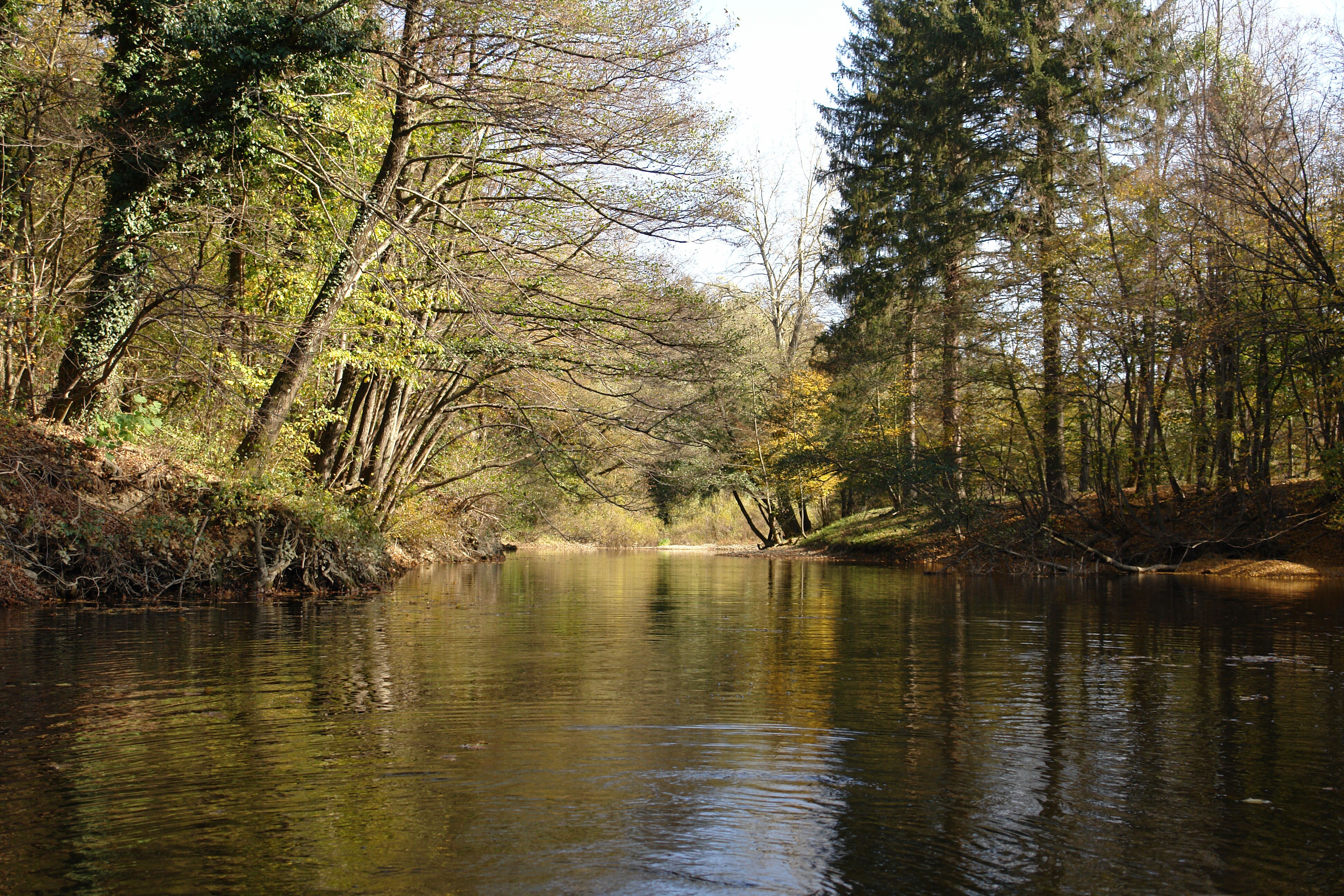 Kamp Dujceva Domacija