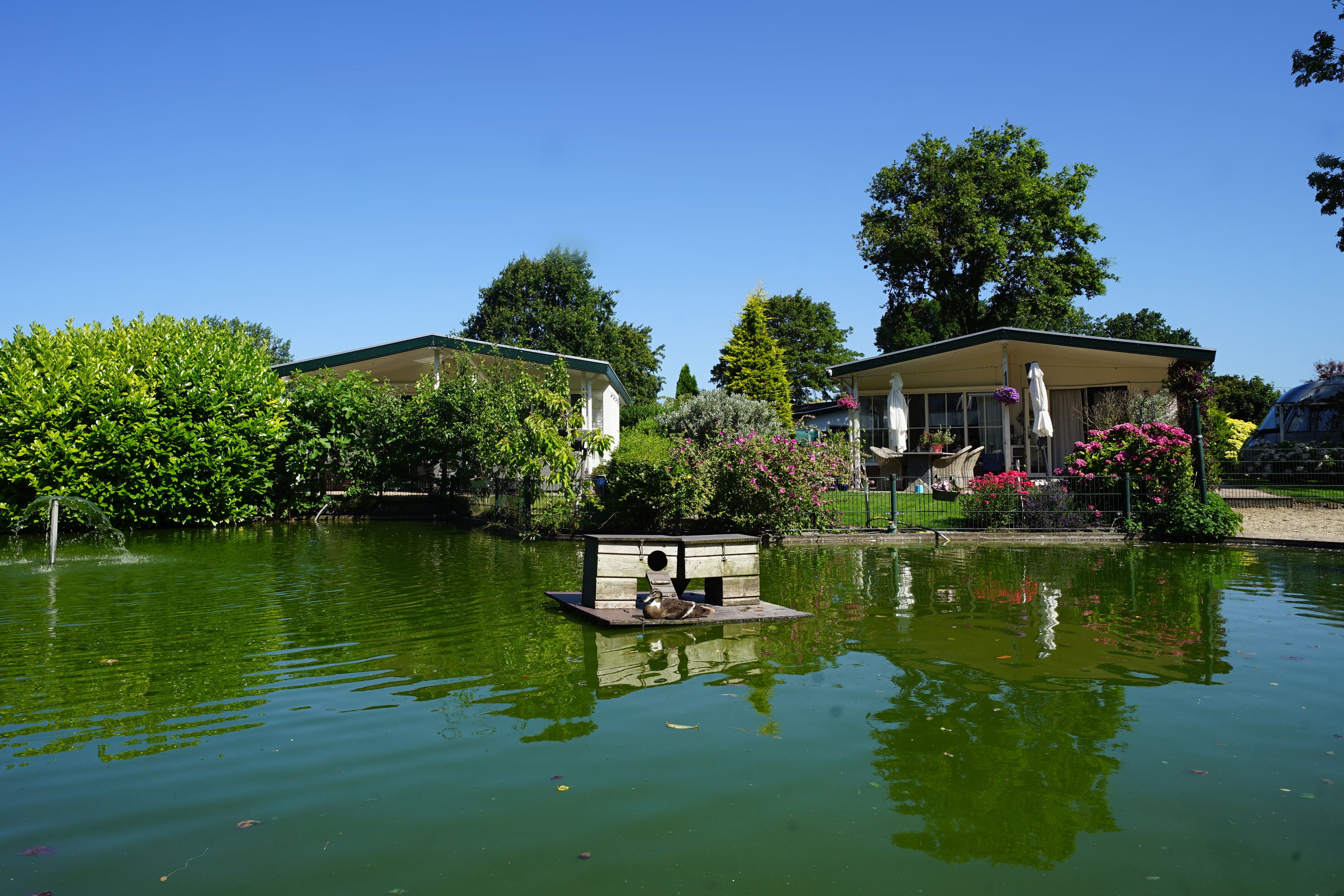 EuroParcs Molengroet afbeelding 2