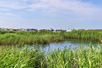 First Camp Lakolk Strand-Rømø