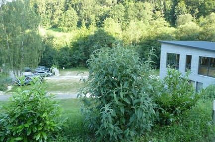 Campingplatz Winkelbachtal