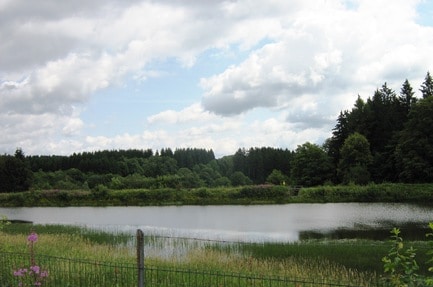 Wildwood Camping Harz