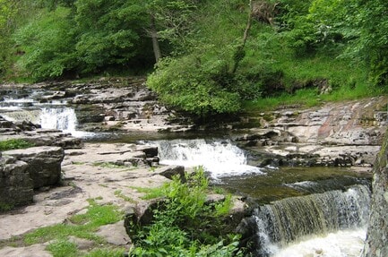 Knight Stainforth Hall C. & C.