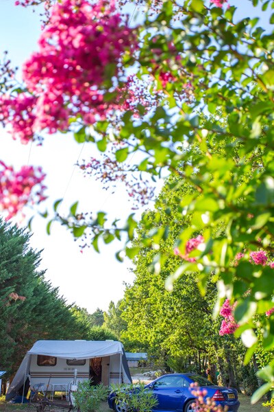 Camping Fontaine du Roc