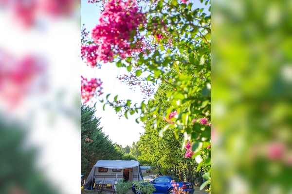 Camping Fontaine du Roc