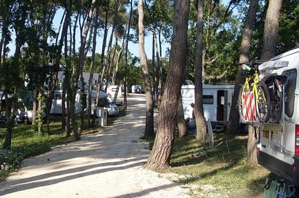 Camping Bosco Selva