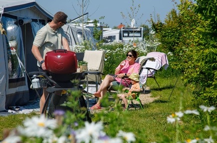 Ardoer camping Zonneweelde