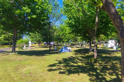 Camping Municipal Arganil