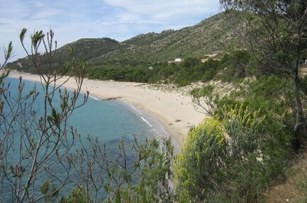 Camping El Templo del Sol