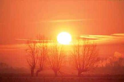 Camping De Wildhoeve