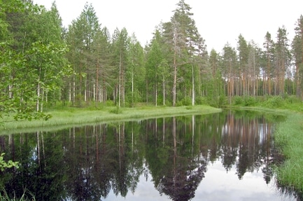 Camping Ruunaa Retkeilykeskus