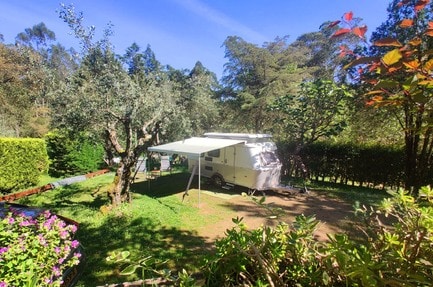 Camping Pelinos-Tomar