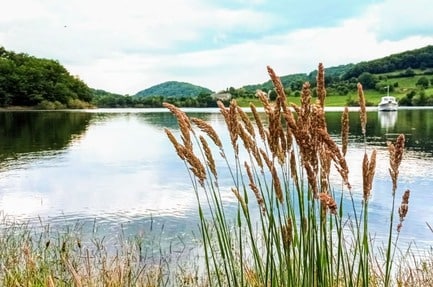Camping De la Romiguière