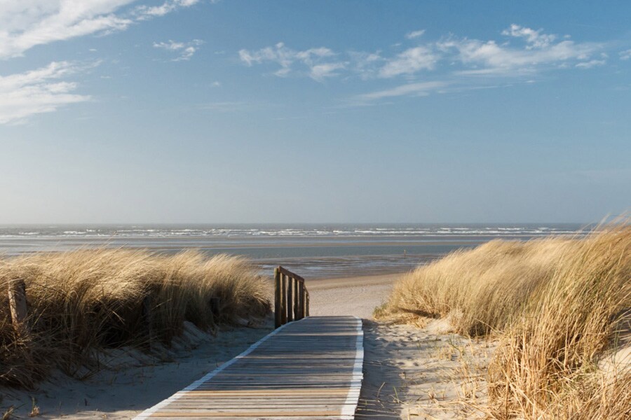 Flower Camping Beauchêne