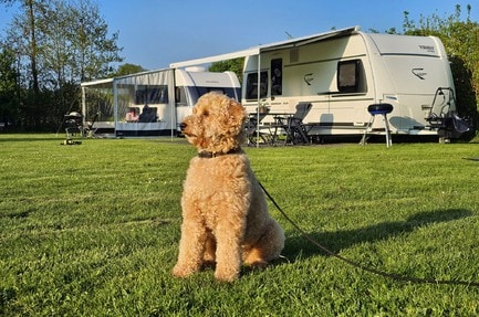 Camping De Runsvoort