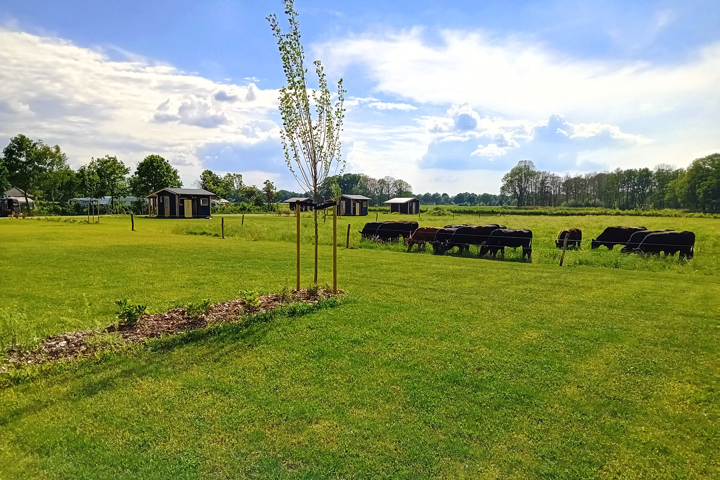 Camping D’n Aanloop