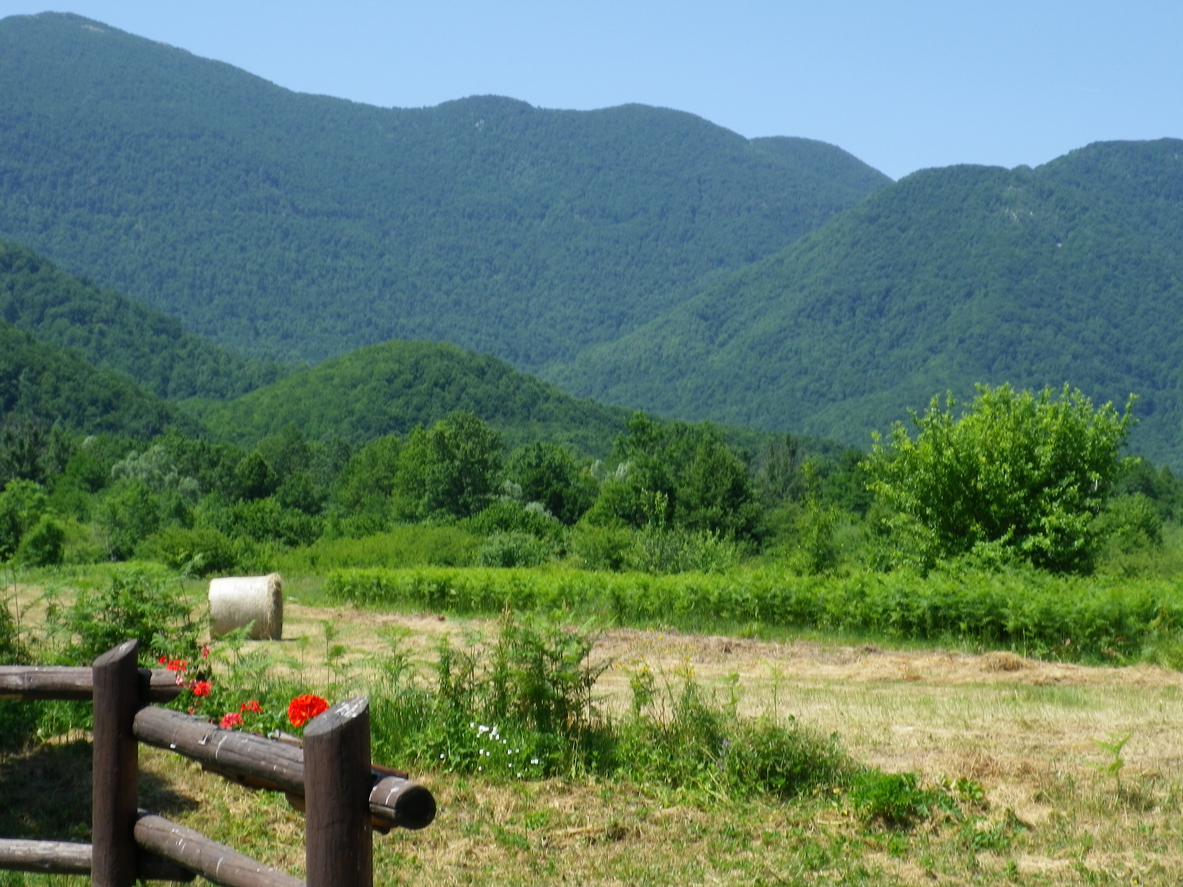 Eco Camp Rizvan City