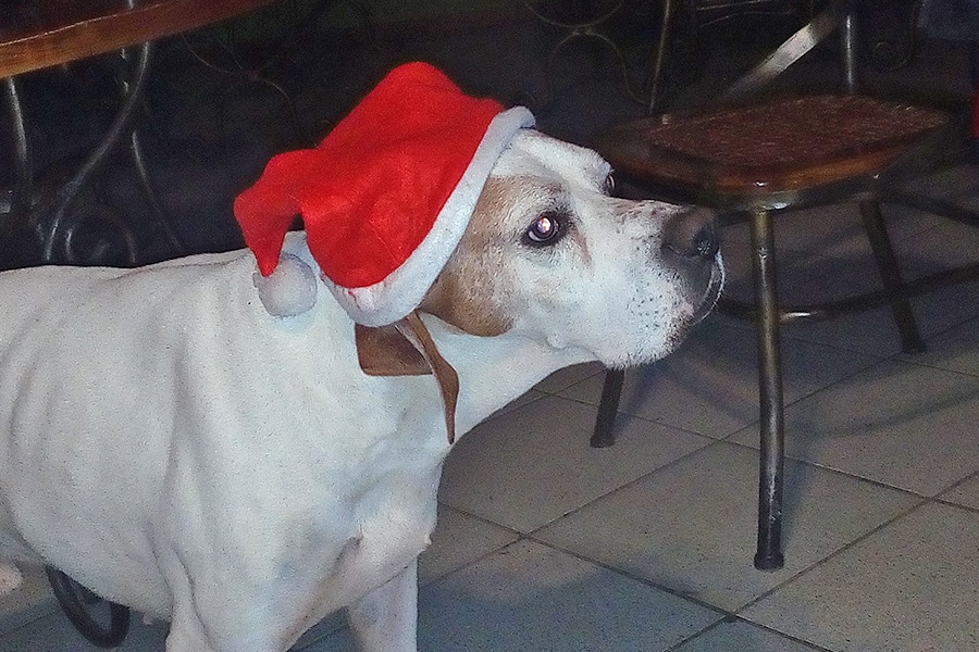 Agricampeggio La Stadera