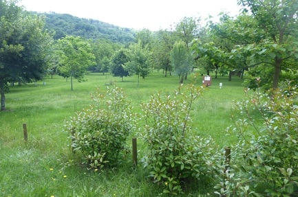 Camping La Berge Ombragée